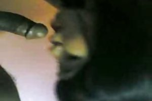 Malaio porno de jogos flash 3d