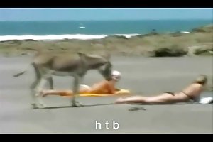 Engraçado..4....ч. b. porno noite de sexo