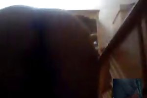 Na arábia saudita caseiro pornô com dois
