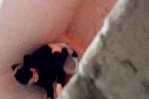 Vietnã espião wc maduro sexo on-line