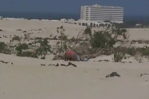 Mariels sobrinha e o velho na praia porno visto download