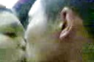 Malaio masturbando vídeo pornô de sexo de estudantes
