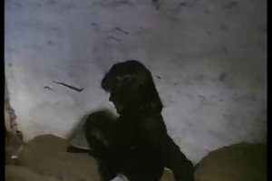 Sexo um comédia, vintage cinema alemão lass 2 assista gratis porno fode secretário