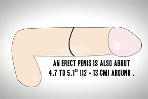 Um pequeno documentário sobre o pênis o pênis grande sexo pornô da história, leia o